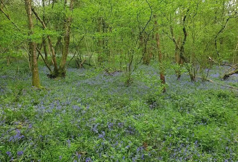 レジデンス Historic 2bed   Traditional Countryside Retreat