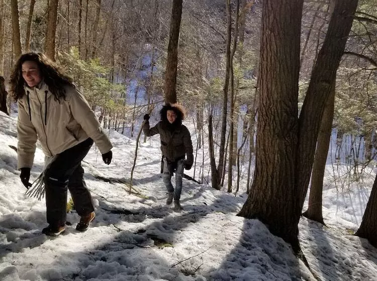 Aamiaismajoitus (B&B) Arts Inn