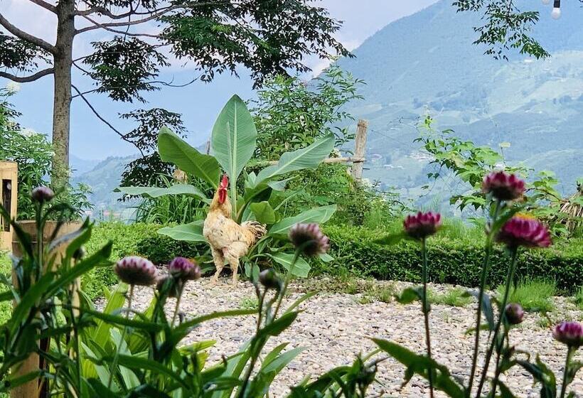 تختخواب و صبحانه Sapa Rosie House Mountain Retreat