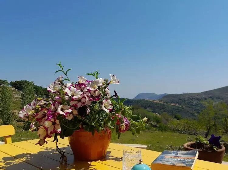 ベッドアンドブレックファースト Sari Keçi̇ Taş Otel