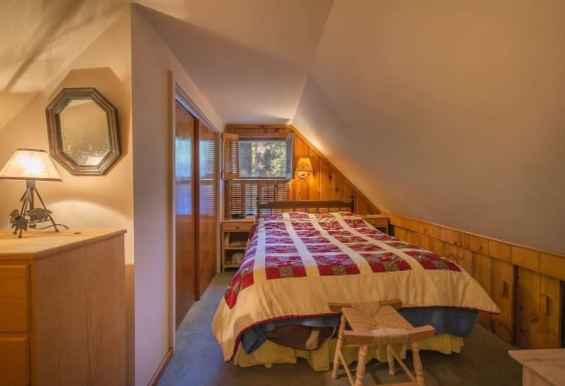 Owl S Peak By Avantstay Private Pine Tree Cabin Mins From The Water