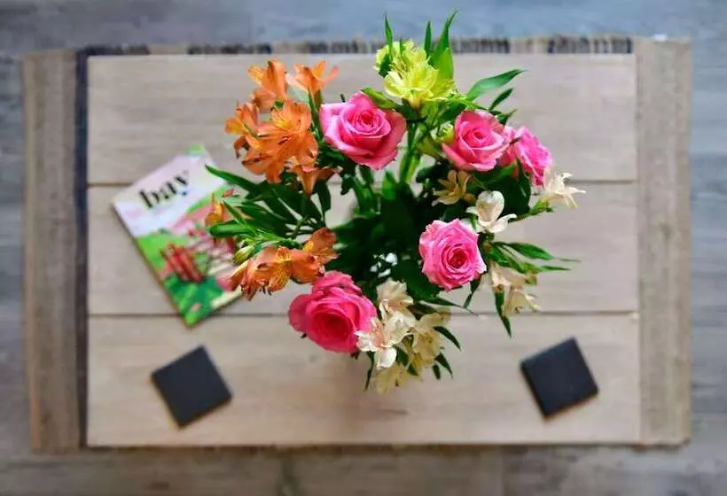 Majatalo Just Stay Wales   Heatherslade House