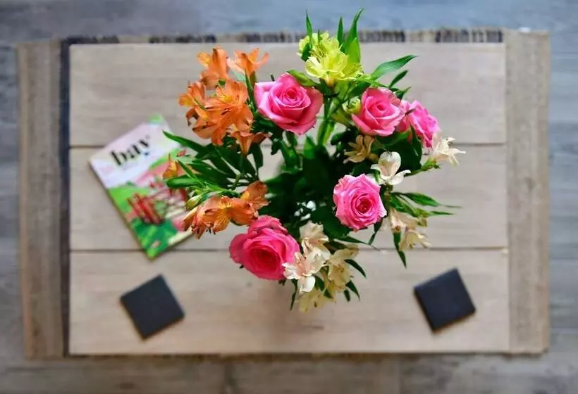 Majatalo Just Stay Wales   Heatherslade House