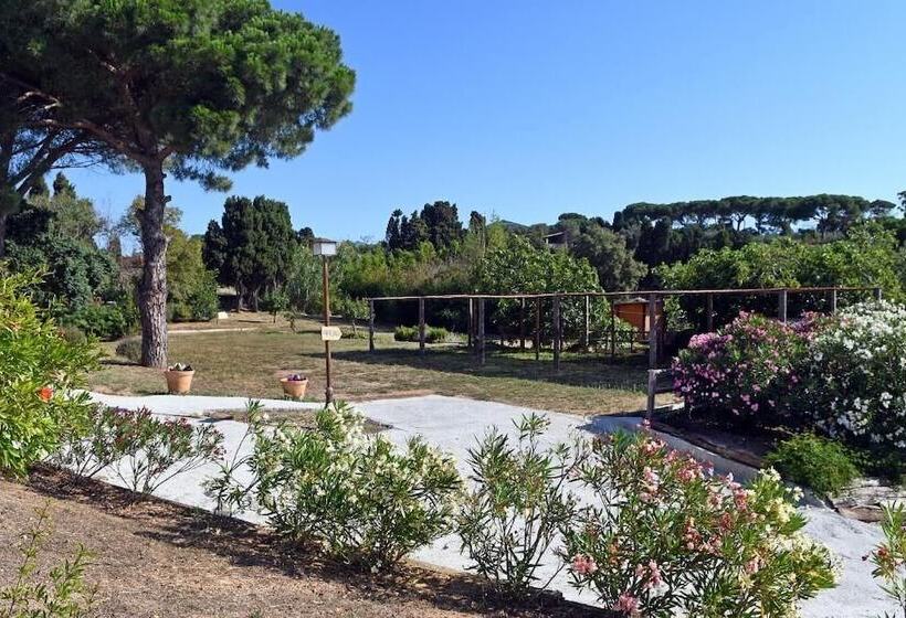 פנסיון Le Rondini