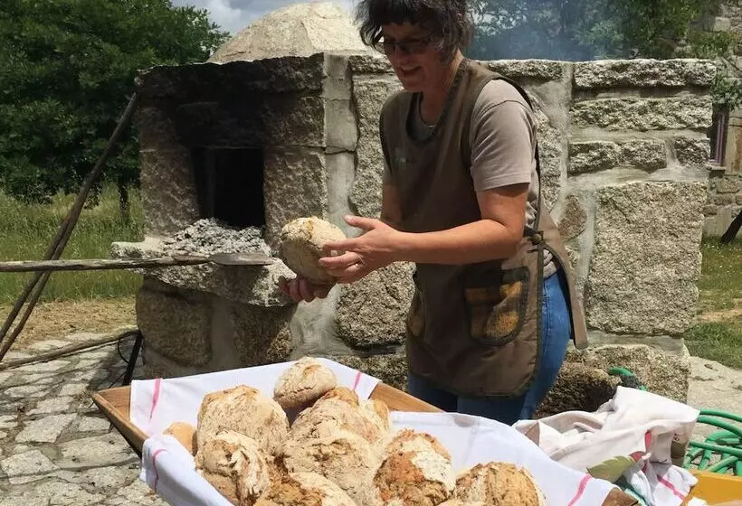 Aamiaismajoitus (B&B) Chao Do Rio  Turismo De Aldeia