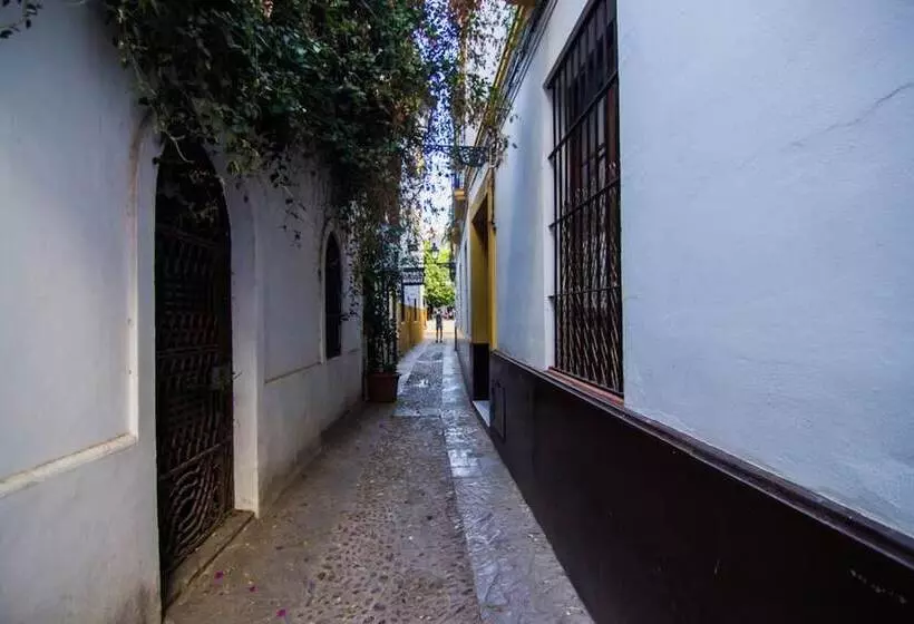 Hotelli Apartamentos Boutique Vida