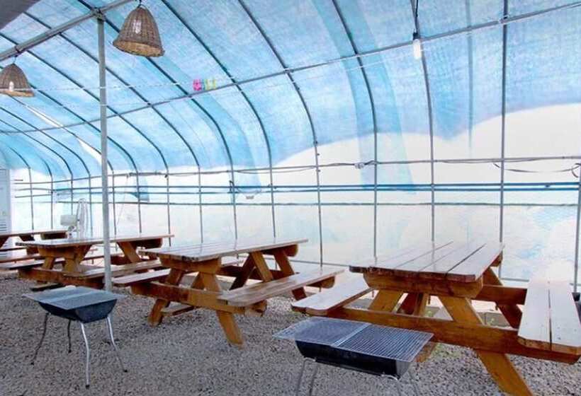 Buan Pullip Love Pension