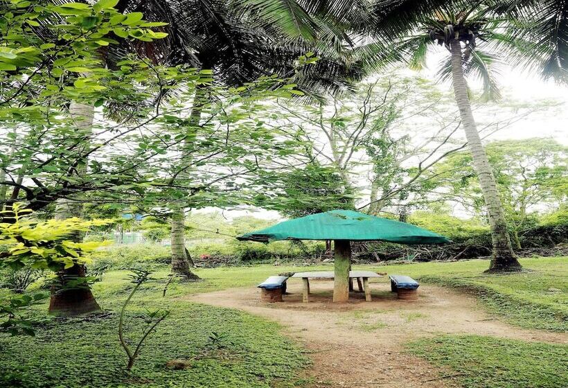 Hotel Jungle Paradise Farm & Guest House