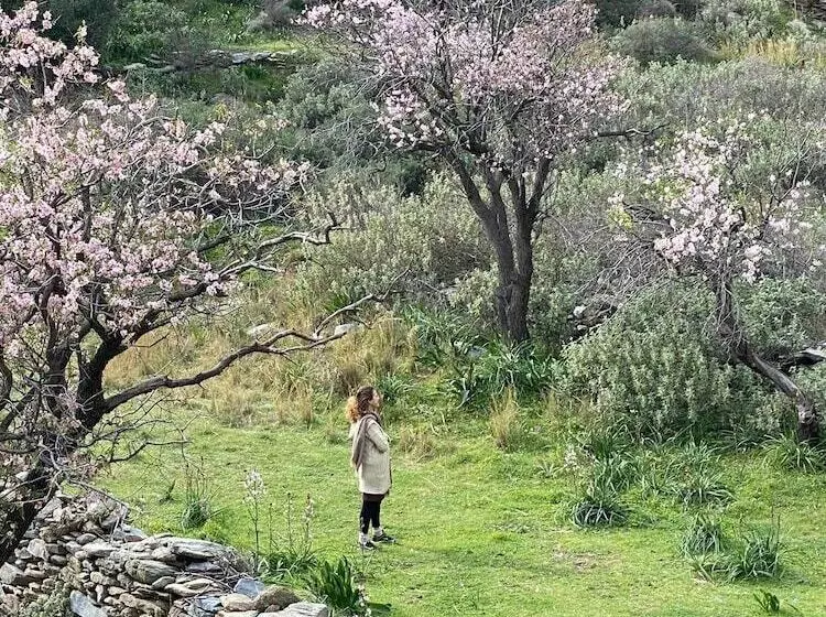 ホテル Kea Retreat