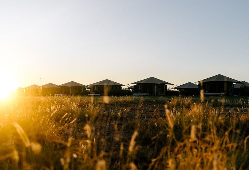 酒店 Mitchell Grass Retreat