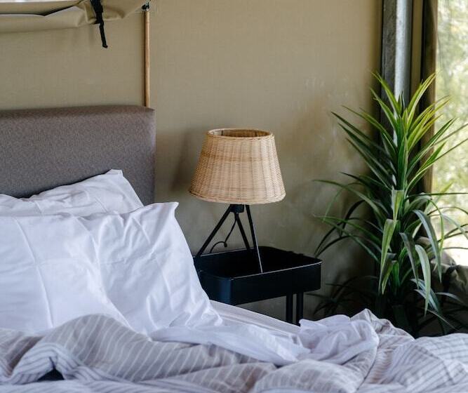 酒店 Mitchell Grass Retreat