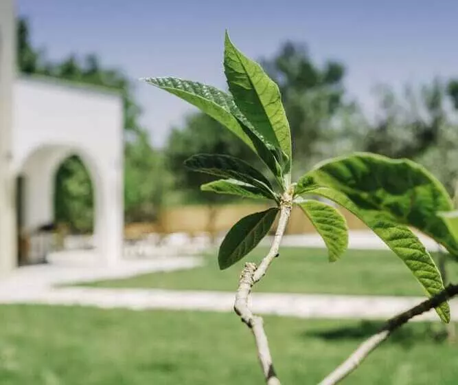 Hotelli Riserva Urla