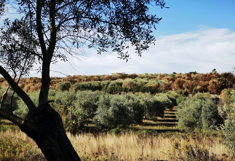 田舎風ホテル La Corte Degli Ulivi