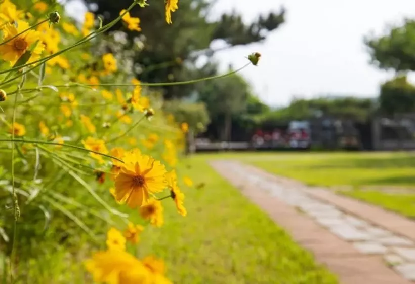Taean The Nature And Lake Pension