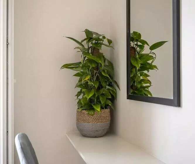 Batelo   Adults Only