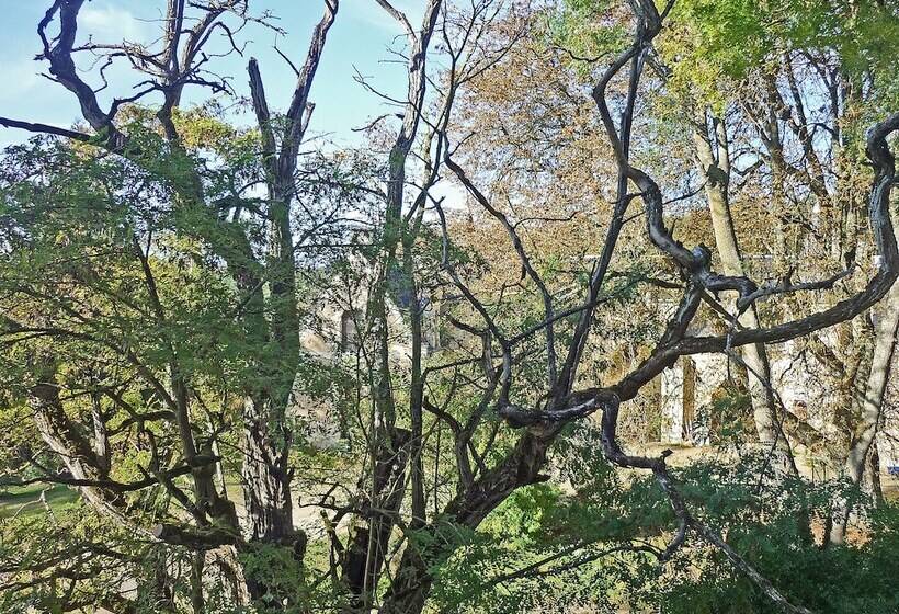 צימר Château De Ternay