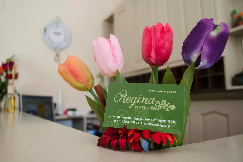 فندق Aegina