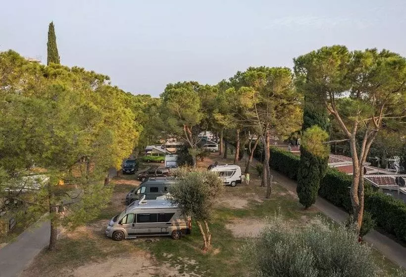 בית מלון כפרי Camping Toscolano