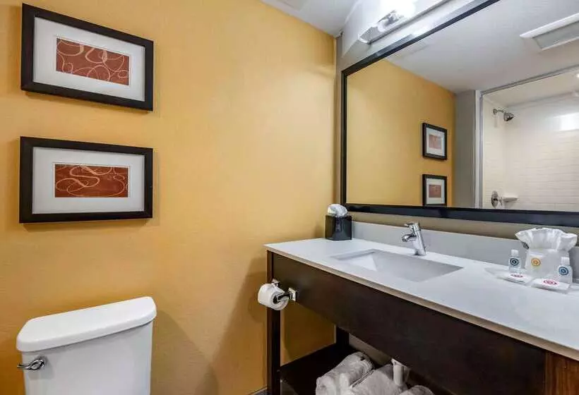 Отель Comfort Suites Fort Lauderdale Airport South & Cruise Port