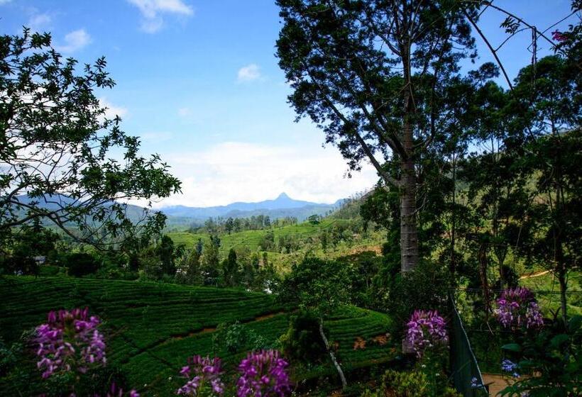 ホテル Governor's Mansion