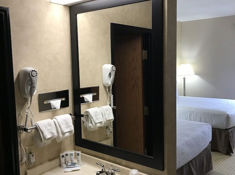 בית מלון כפרי Hollywood Casino Joliet