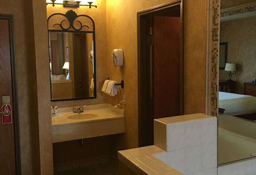 בית מלון כפרי Hollywood Casino Joliet