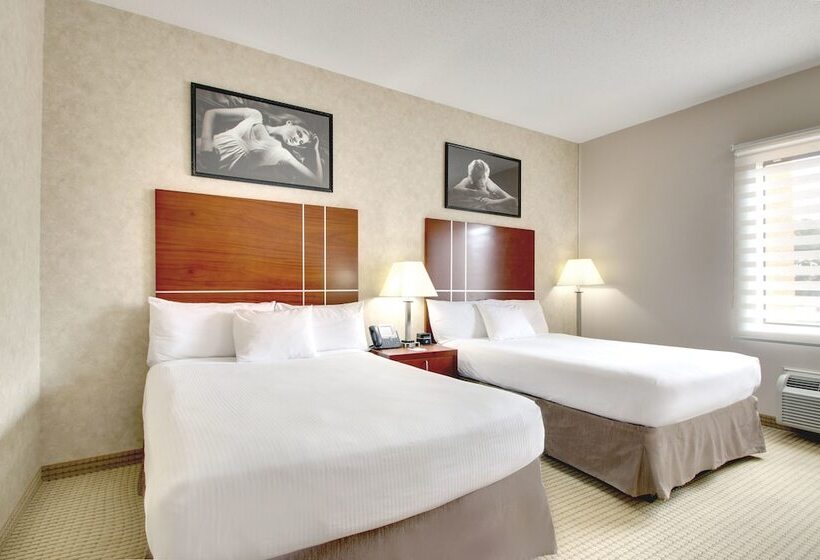 בית מלון כפרי Hollywood Casino Joliet