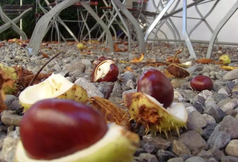 酒店 & Restaurant Engel