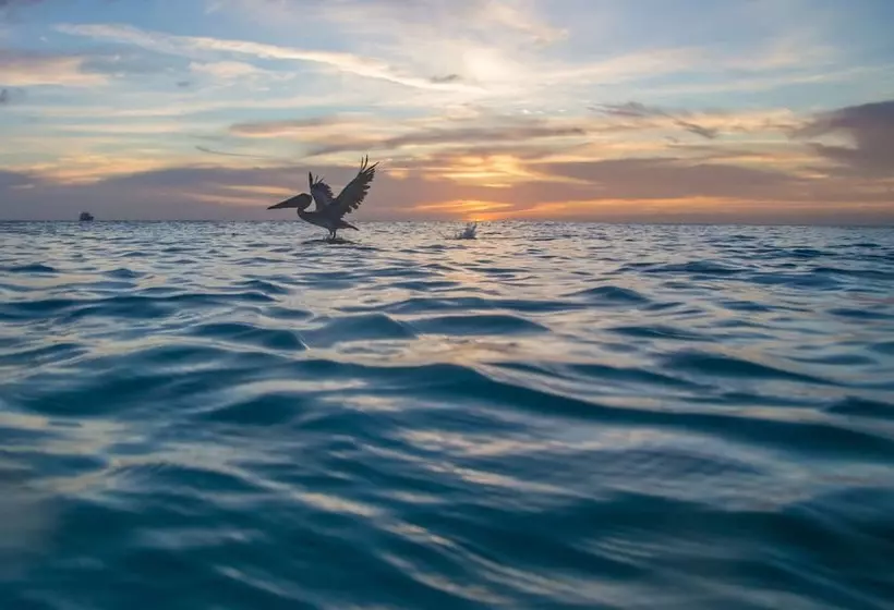 Boutique Hotel Bougainvillea