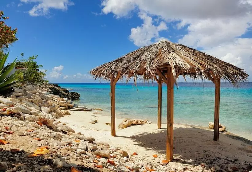 Boutique Hotel Bougainvillea