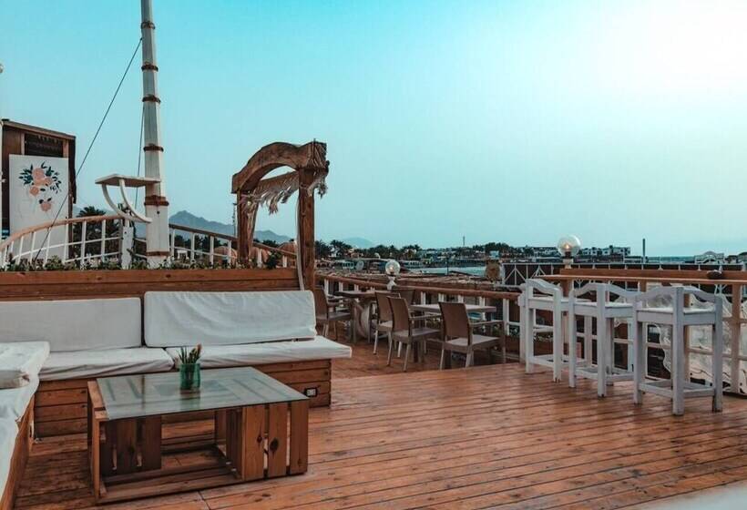 تختخواب و صبحانه Downtown