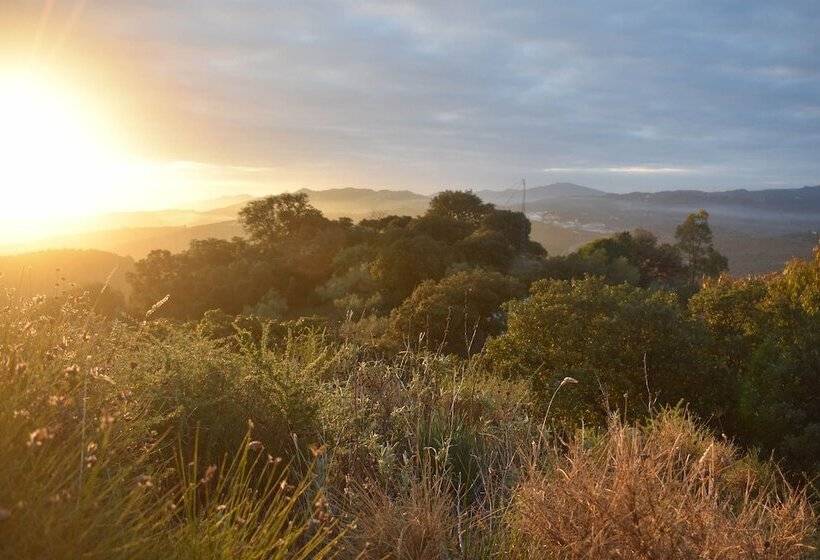 Casa Kisi Rural Boutique B&b