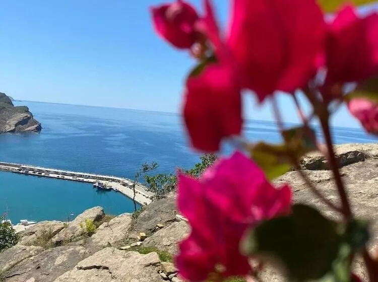 簡易ホテル İmroz Begonvil