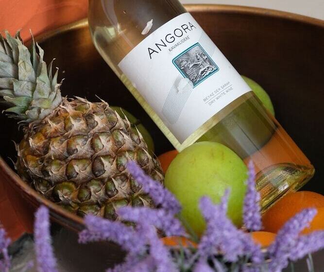 酒店 Tek Han Luxury