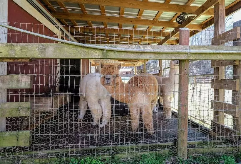 Majatalo Cobb Creek Cabins