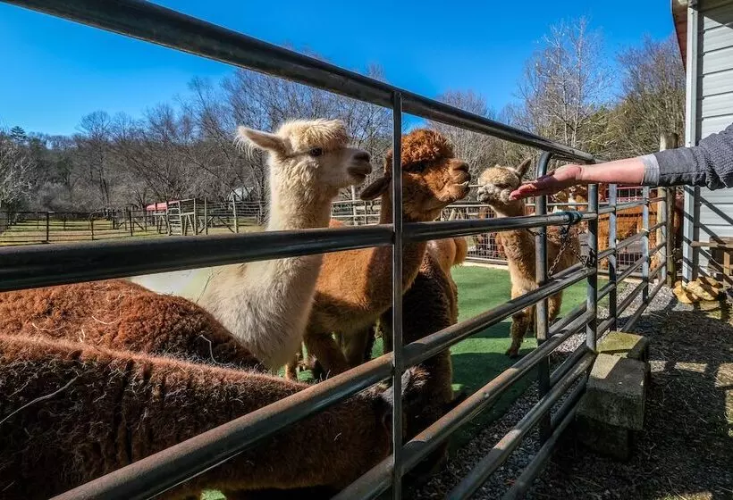 Majatalo Cobb Creek Cabins
