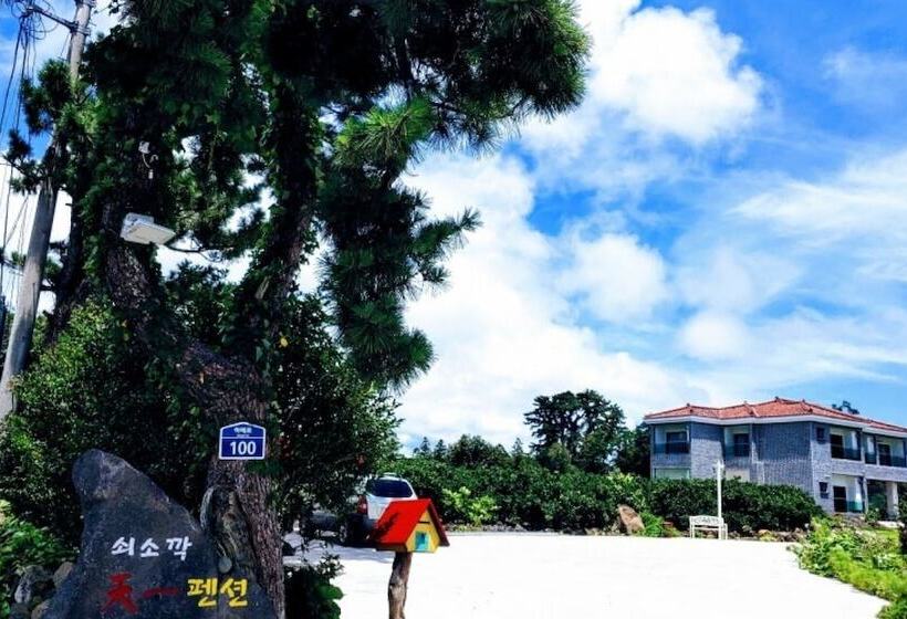 Seogwipo Soesokkak Cheonil Pension