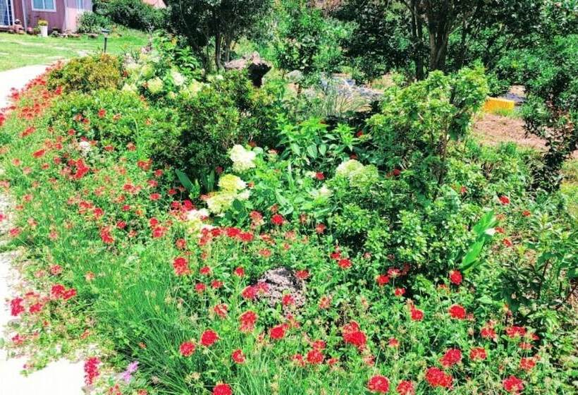 Seogwipo Soesokkak Cheonil Pension