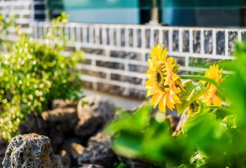 Seogwipo Soesokkak Cheonil Pension