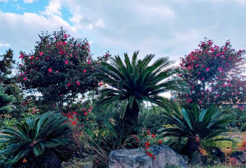 Seogwipo Soesokkak Cheonil Pension