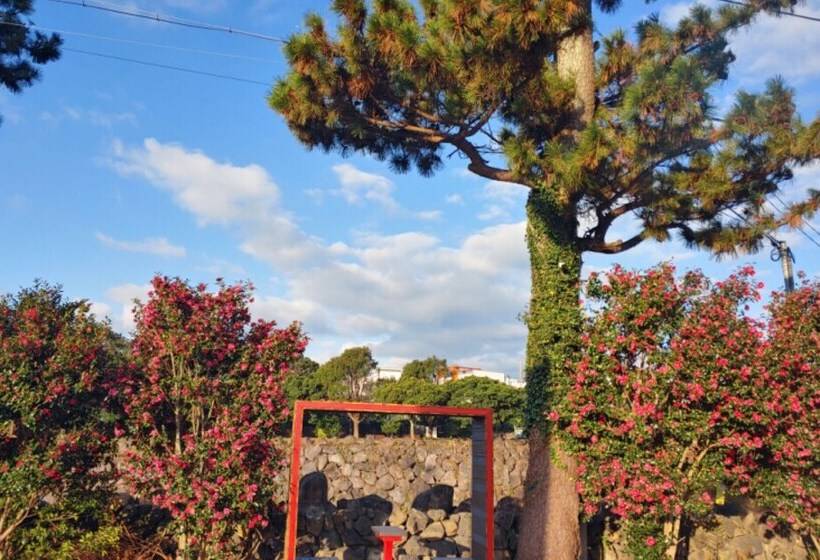 Seogwipo Soesokkak Cheonil Pension