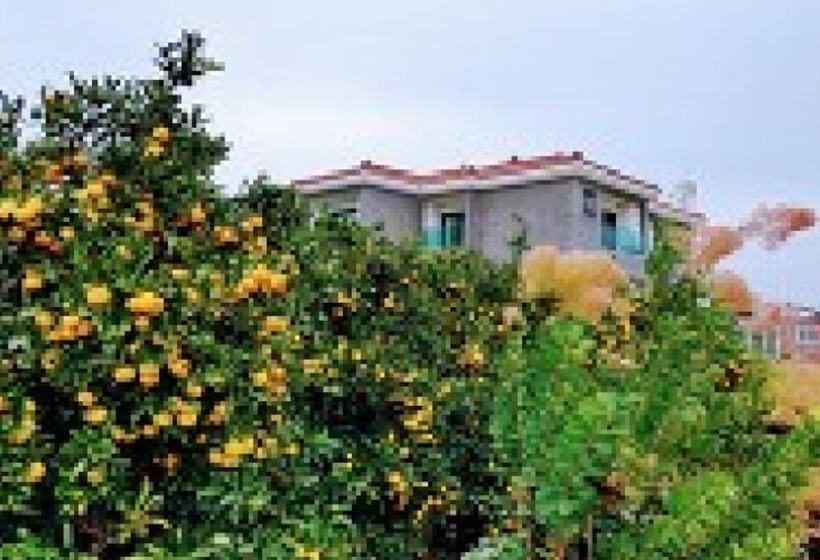 Seogwipo Soesokkak Cheonil Pension