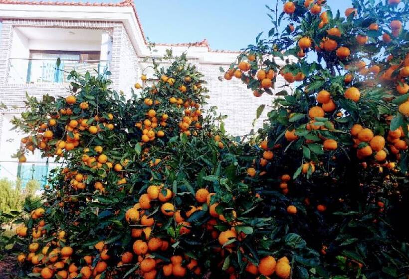 Seogwipo Soesokkak Cheonil Pension