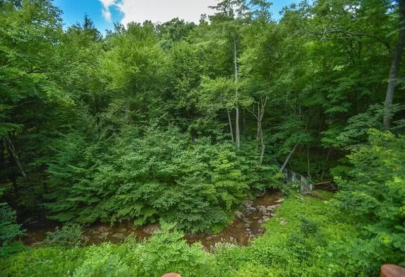 Streamside