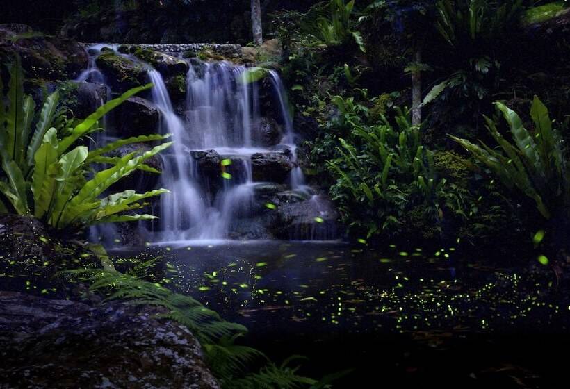 تختخواب و صبحانه Nanyang62