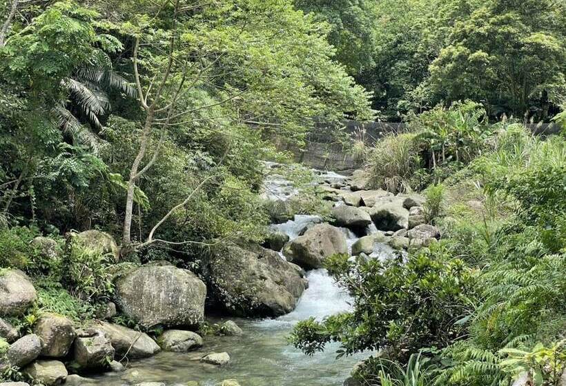 تختخواب و صبحانه Nanyang62