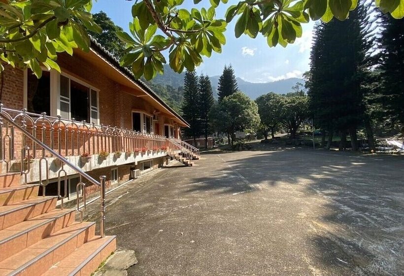 تختخواب و صبحانه Nanyang62