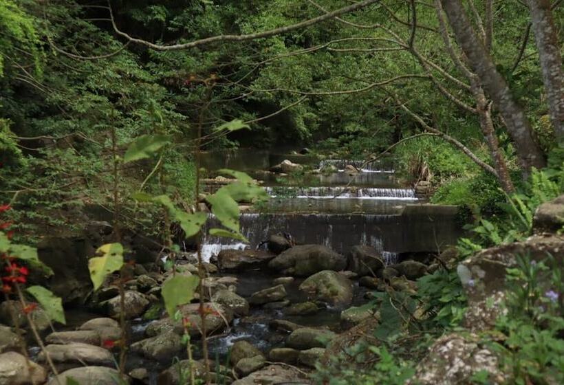 تختخواب و صبحانه Nanyang62