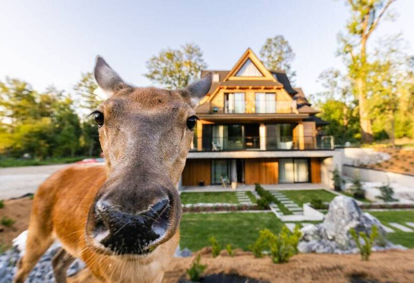 צימר Villa T Apartments & Spa