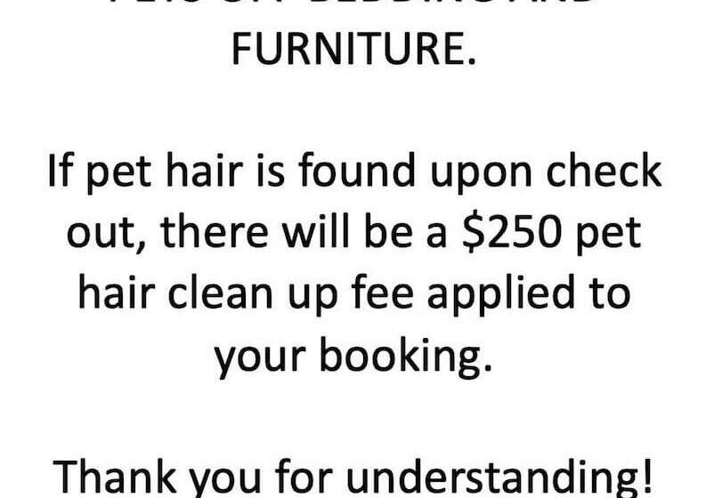 Come Snuggle Up At Cozy Bear Cabin!